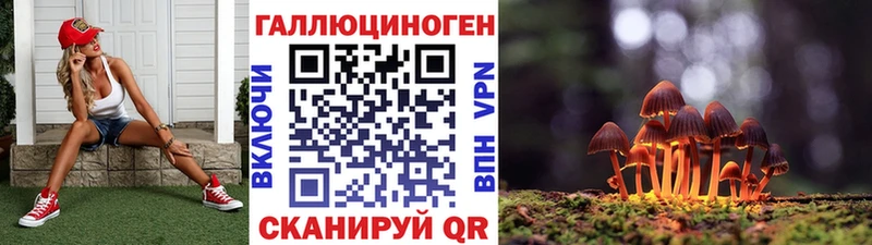 сколько стоит  Жуковка  Псилоцибиновые грибы Cubensis 