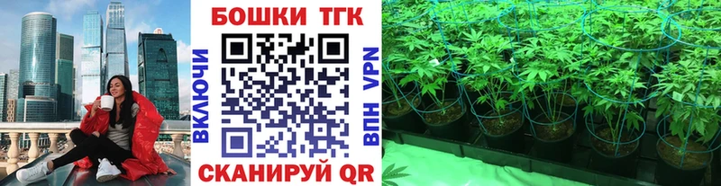 наркотики  Жуковка  Канабис планчик 